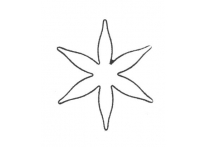 Calyx 6 petal - 1756